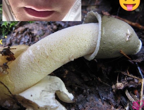 Got straight cum and cock-cheese for hungry gay hustler? (mid-sweden) –