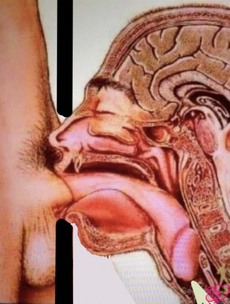 Trucker needs blowjob? got cum and cock-cheese for sucker? –