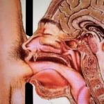 Juicy mouth for trucker cock! saftiger mund für lkw-schwanz! borlänge region. –