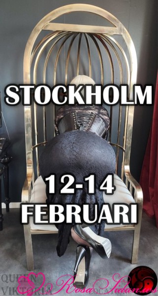 Exclusive bdsm sessions – stockholm february 12-14 –