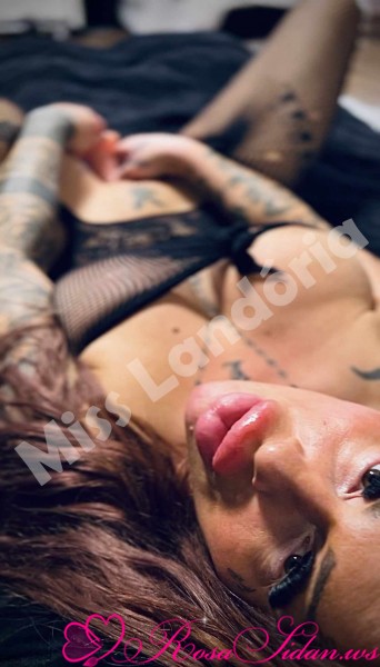 Massor av härliga rabatter –